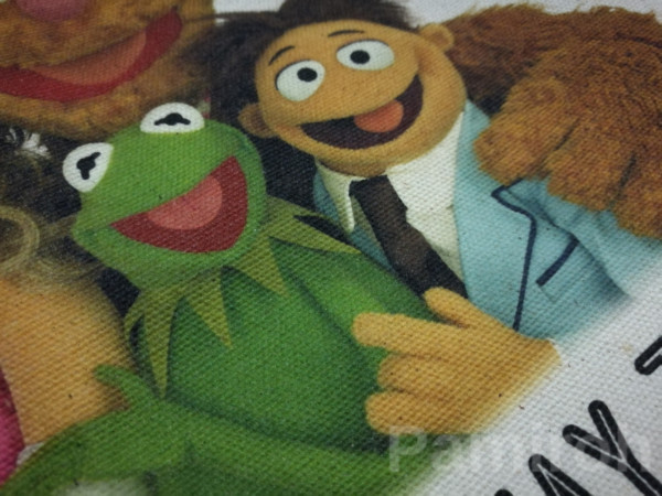 The Muppets/ザ・マペッツ